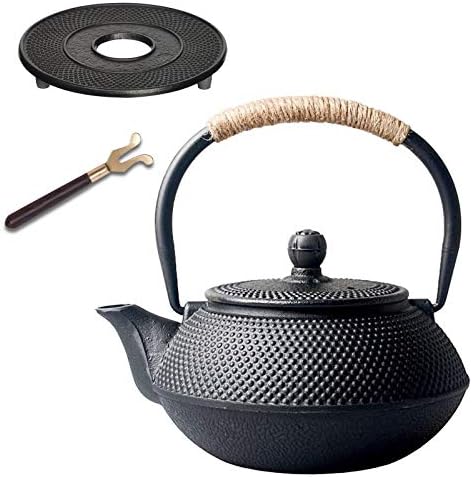 南部鉄瓶 鉄の急須 南部鉄 ホーローなし おしゃれ 鉄分補給 Ih 直火 対応 600ml 鉄瓶兼用急須 鉄瓶 茶道具 鉄分補給 お茶 鉄器 茶こし付き 直火 Ih対応 統工芸品 カボチャの形をしたケトル 600ml Parapentefamily Com