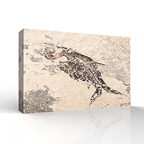 Canvas Wall Art - Vintage Animal Fish Fossil Living Room Poster Prints - Modern Home Art Stretched and Framed Ready to Hang - 12x18 inches