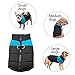 Didog Cold Weather Dog Warm Vest Jacket Coat,Pet Winter Clothes for Small Medium Large Dogs(Chest 25 Inch; Back Length 20 Inch, Blue)