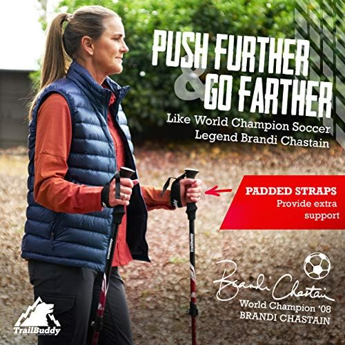 champion walking pole