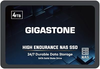 Gigastone 4TB NAS SSD 2.5" SATA III Internal 24/7 High Endurance RAID Drive