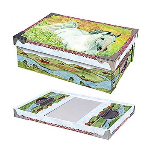 Horse in Meadow Medium Snap Box ST002