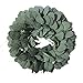 Eucalyptus Garland,LYLYFAN Artificial Silk Eucalyptus Leaves Vine Wedding Backdrop Arch Wall Decor