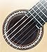 Cordoba Soundhole Cover/Feedback Reducer