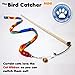 Mini Cat Feather Wand Toy Set with 2 Guinea Fowl Feather Refills 1 Ribbon and Wooden Rod