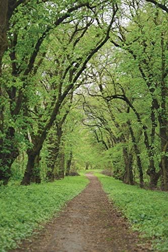 Notebear: Road In Dark Forest Journal (Travel Notebook & Diary with Alternate Blank & Lined Pages) Paperback – Large Print, 7 Feb 2019