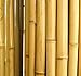 Forever Bamboo Natural Rolled Bamboo Fence 1in D x 6ft H x 8ft L