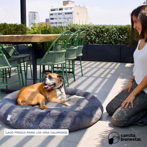 Camita Bienestar | Cama Antiestrés para Perros 4 en 1, Funda Lavable y Removible, Memory Foam Ortopédico, Felpa Ultrasuave con Base Anti Derrapante, 110cm-Gris