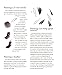 The Beginner's Guide to Chinese Painting: Birds and Insects