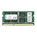 Kingston Technology 8GB 1600MHz DDR3 Non-ECC CL11 SODIMM PC Memory (KVR16S11/8)