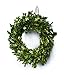 Command Medium Wall Hooks, Damage Free Hanging with Adhesive Strips, No Tools Wall Hooks for Hanging Decorations in Living Spaces, 12 Clear Wall Hooks and 24 Command Strips