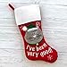GiGi Seasons Pet Christmas Stockings (Good Cat)