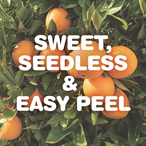 4 Wonderful+Halos+California+Grown+Mandarins+3lb