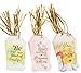 Inspirational Gift Tags with Ribbon, 6 Kraft Watercolor Designs (72 Pieces)
