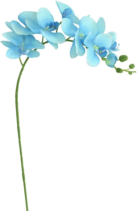 Amazon 観葉植物 人工鉢植え 大きな葉常緑樹シミュレーションフラワーデコレーションシミュレーション多肉不死プラスチックグリーン植物盆栽花 手入れなし Color Blue 人工観葉植物 オンライン通販