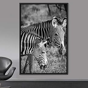 signwin Framed Canvas Wall Art Duotone Zebra Animals...