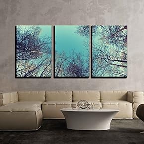 3 Piece Canvas Wall Art - The Line of Trees Against The Clean Sky. - Modern Home Art Stretched and Framed Ready to Hang - 16"x24"x3 Panels