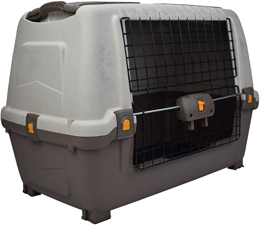 dog transport box