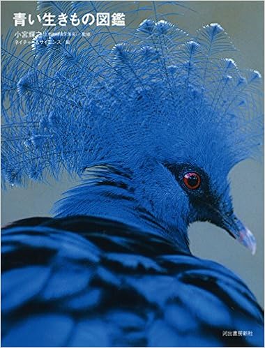 青い生きもの図鑑 輝之 小宮 ネイチャー サイエンス 本 通販 Amazon