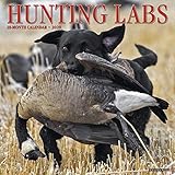 Hunting Labs 2020 Wall Calendar (Dog Breed Calendar) by 