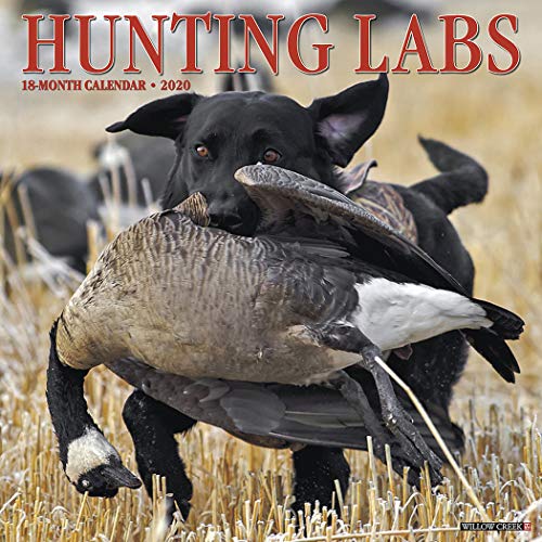 Hunting Labs 2020 Wall Calendar (Dog Breed Calendar) by 