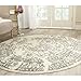 SAFAVIEH Adirondack Collection Area Rug - 8' Round, Ivory & Silver, Oriental Distressed Design, Non-Shedding & Easy Care, Ideal for High Traffic Areas in Living Room, Bedroom (ADR101B)