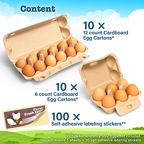 Paper Egg Cartons 20 Pcs Set 12 and 6 Count Reusable Egg Cartons For