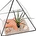Glass Terrarium - Geometric Diamond Desktop Garden Planter by Mindful Design (Black)