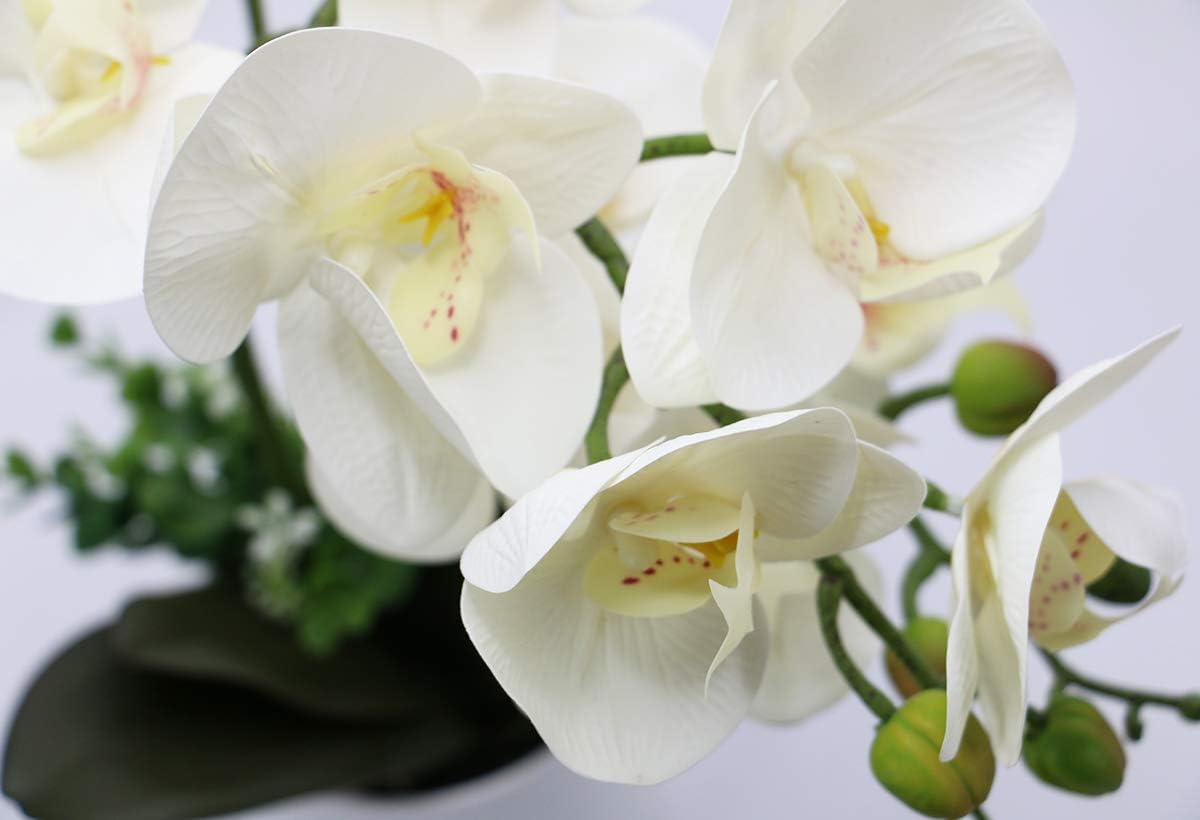 Olrla White Artificial Orchid Flowers in Pot, Faux Butterfly Orchids for Home Office Bathroom Decoration Table Centerpieces (White 2) - Image 4