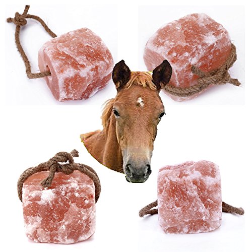 HIJINA Animal Licking Himalayan Pink Salt Lick-100% Natural Pure Salt Block on Rope for Horses, Deer, Goats, Cattle,Rabbits, Long Lasting, 4-6 Lbs