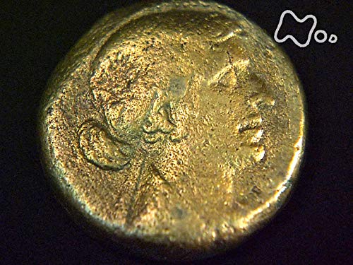 Amazon Co Jp ハイビジョン特集 エジプト発掘 Nhkオンデマンド を観る Prime Video