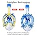 Greatever Full Face Snorkel Mask, Snorkeling Gear for Adults Kids with Latest Dry Top Breathing System and Detachable Camera Mount, Foldable Panoramic View Snorkeling Mask Set, Anti-Fog & Anti-Leak