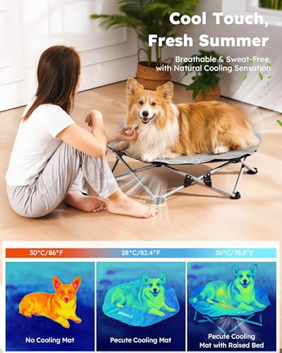 Pecute Cama Elevada para Perros Medianos y Pequeños, Resistente Sin Montaje con Colchoneta Refrescante, Plegable para Interior y Camping, Tamaño L, Soporta hasta 60kg, Gris