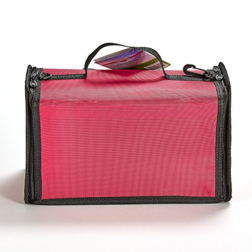 Kaytee Come Along Carrier, Medium, Assorted Colors