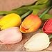 SHINE-CO LIGHTING Artificial Tulips 10Pcs Real Touch Fake Tulips PU Flower Arrangement Bouquets for Home Party Decoration (Red)