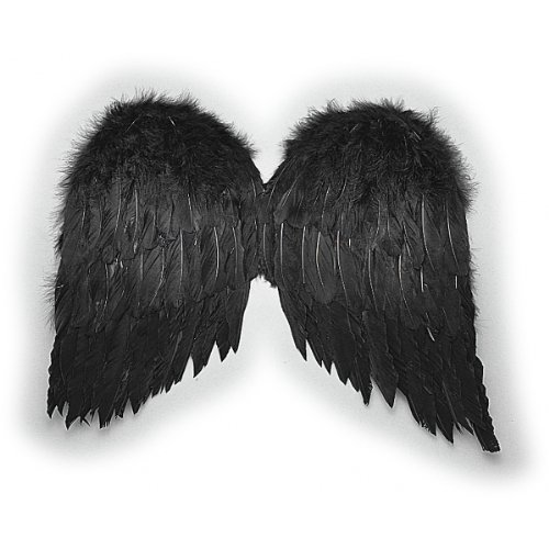 20" Feather Wings Costume Accessory