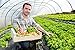 A&A Green Store Greenhouse Plastic 4 Year 6 mil UV Resistant Clear Polyethylene Film (20' x 40')
