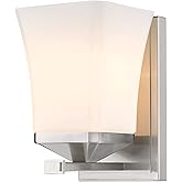 Z-Lite 1939-1S-BN Darcy Wall Sconce, 1-Light 100 Watts, Brushed Nickel