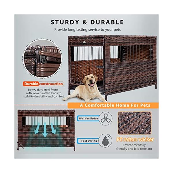 wicker dog crate