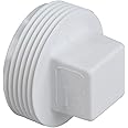 NIBCO C4818 2" MIPT PLUG PVC