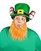 BigMouth Inc Lucky Leprechaun Drinking Hat, Novelty Drink Guzzler Hat with Straw
