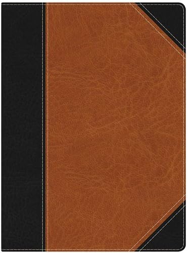 HCSB Study Bible, Black/Brown LeatherTouch