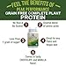 Organic Paleo Grain Free Plant Based Protein Powder Complete Raw Organic Vegan Protein Powder. Amazing Amino Acid Profile and Less Than 1g of Sugar. Hemp Protein Powder, Pea Protein Powder Vanillathumb 4