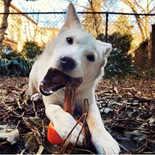 vise grip bully stick