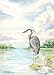 Field Guide to the Natural World of Washington, D.C.