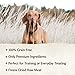 Wellness Natural Pet Food Core Grain Free 100-Percent Beef Freeze Dried Dog Treats, 2 oz (88301)