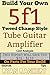 Build Your Own 5f1 Tweed Champ Style Tube Guitar Amplifier (Amp Parts)