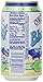 Blue Sky Organic Soda (Ginger Ale, 12-Ounce Cans, Pack of 24)