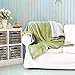 Bedsure Sherpa Fleece Blanket Throw Size Sage Green Plush Throw Blanket Fuzzy Soft Blanket Microfiber