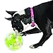 Outward Hound by Planet Dog Mazee Puzzle Ball Interactive Treat Dispensing Dog Toy, Green